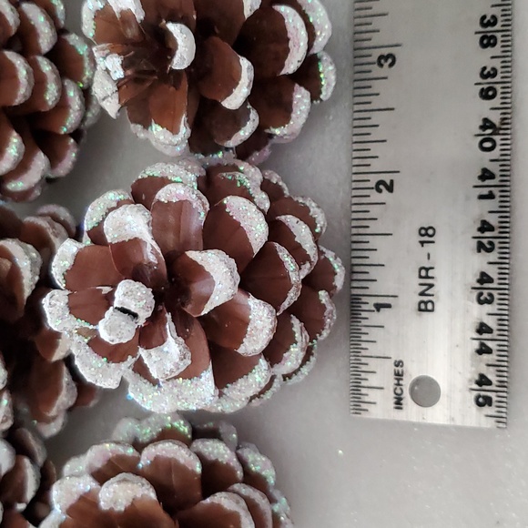 Pine Cones White Tips Glittered - Picture 4 of 5
